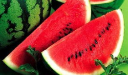 国外吃瓜爆料叫什么名字,揭秘国外“吃瓜爆料”背后的真相与内幕